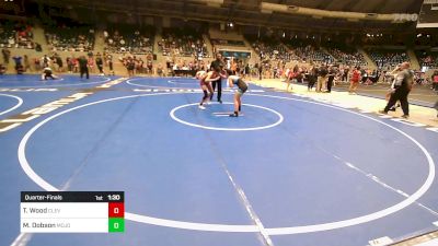 110 lbs Quarterfinal - Teagan Wood, Cleveland Take Down Club vs Macy Dobson, Mojo Grappling Academy