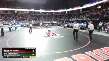 II-102 lbs Cons. Round 2 - Dylan Newman, Falconer/Cassadaga Valley vs Branden Munoz, Petrides