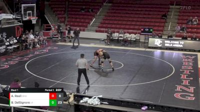 184 lbs Finals (2 Team) - Brock DelSignore, Little Rock vs Andrew Reall, Brown