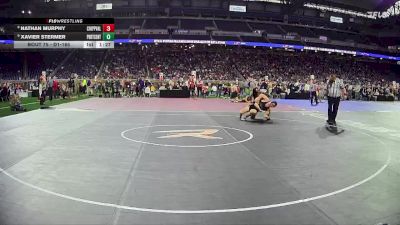 D1-165 lbs Champ. Round 1 - Xavier Stermer, Portage Central HS vs Nathan Murphy, Chippewa Valley HS