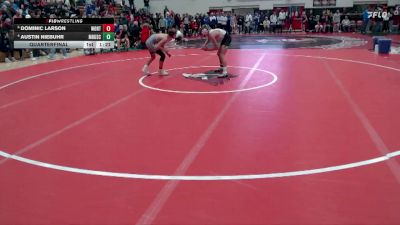 107 lbs Quarterfinal - Dominic Larson, Worthington vs Austin Niebuhr, Maple River/USC