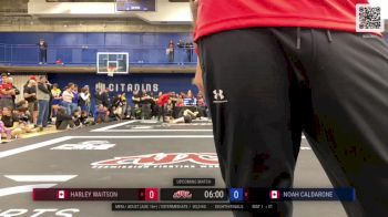 Harley Waitson vs Noah Caldarone 2024 ADCC Montreal Open