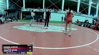142 lbs Round 1 (4 Team) - Luciana Alencar, Texas Red vs Violette Lasure, Pennsylvania