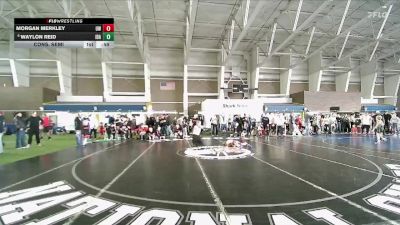 49 lbs Cons. Semi - Waylon Reid, Idaho vs Morgan Merkley, Uintah Wrestling