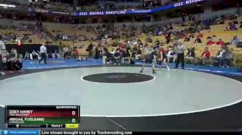 100 lbs Quarterfinal - Zoey Haney, Troy Buchanan vs Abigail Fuglsang, Camdenton