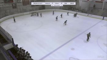 Replay: Home - 2024 Wolfpack U12 vs Hitmen U12 Major | Jan 27 @ 5 PM