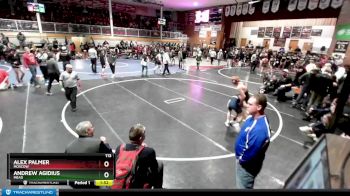 113 lbs Cons. Round 1 - Alex Palmer, Moscow vs Andrew Agidius, Mead