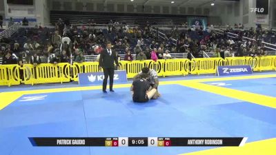 Anthony Robinson vs Patrick Gaudio 2025 Pan IBJJF Jiu-Jitsu No-Gi Championship