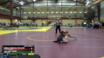 110 lbs Cons. Round 3 - Amelia Nidelea-Polanin, Loyola Academy vs Mallory Zadel, Avon Lake