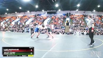 215 lbs Quarterfinals (8 Team) - Luke Whitehouse, Hartland vs Brady Hamby, Macomb Dakota
