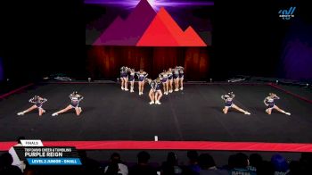 Top Dawg Cheer & Tumbling - Purple Reign [2025 L2 Junior - Small Finals] 2025 The D2 Summit