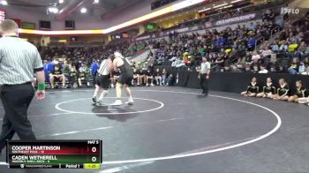 285 lbs Quarterfinal - Cooper Martinson, Southeast Polk vs Caden Wetherell, Waverly-Shell Rock