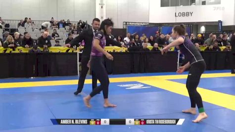 Krista Thi Roseborough vs Amber N. Blevins 2024 World IBJJF Jiu-Jitsu No-Gi Championship