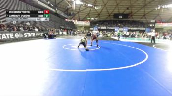 Boys 4A 150 lbs Cons. Round 5 - Cameron Dobson, Richland vs Joe Ethan Tristan, Kamiakin