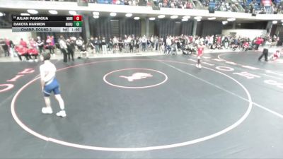 101 lbs Champ. Round 3 - Julian Paniagua, Bolingbrook vs Dakota Harmon, Ottawa (Marquette)
