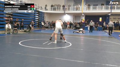 285 lbs Consy 1 - Domenic Petruzzi, Central Catholic vs Andrew Gabriel, Gateway
