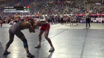 149 lbs Semis & 3rd Wb (16 Team) - Caleb Olson, Wartburg vs Jason Giordano, TCNJ