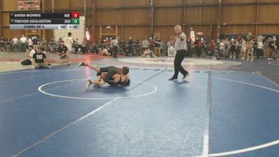 120 lbs Consi Of 4 - Aiden Morris, New York Military Academy vs Trevor Eggleston, Journeymen