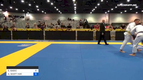 SASHA BABIC vs ANDREW SCOTT HAY 2019 World Master IBJJF Jiu-Jitsu Championship