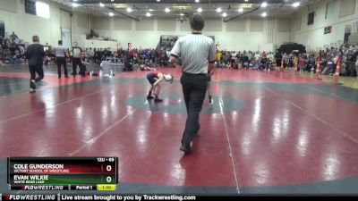 65 lbs Quarterfinal - Cole Gunderson, Victory School Of Wrestling vs Evan Wilkie, White Bear Lake