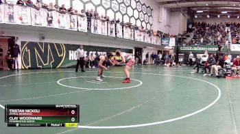 190 lbs Quarterfinal - Clay Woodward, Pickerington North vs Tristan Nickoli, St.Paul (Norwalk)