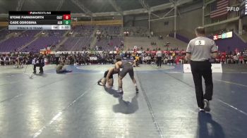 133 lbs Finals (2 Team) - Stone Farnsworth, Castleton vs Cade Odrobina, Albion