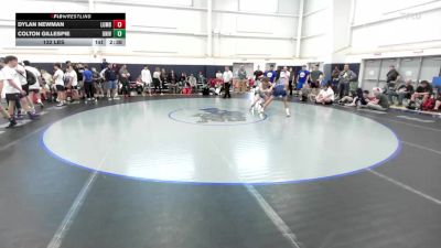 132 lbs Round Robin 2 - Dylan Newman, Lumberyard Wrestling-HS vs Colton Gillespie, University Hawks Wrestling Club