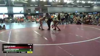 125 lbs Quarters & 1st Wb (16 Team) - Thomas Rubio, TNWCC vs Tanner Boroughs, Alabama Elite Gold