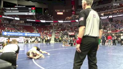 2A-113 lbs Quarterfinal - Kolbe Hansen, Iowa Falls-Alden vs Cael McCabe, Fairfield