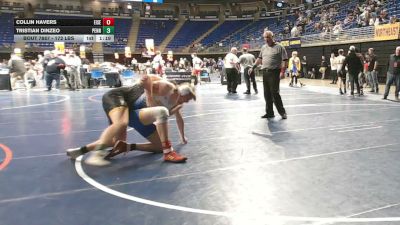 172 lbs Quarterfinal - Collin Havers, Eisenhower vs Tristian Dinzeo, Penn Trafford