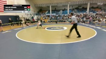 120 lbs Quarterfinal - Dax Platt, Lander Valley vs Keller Dehmel, Worland
