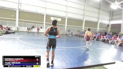 94 lbs Quarterfinals (8 Team) - Dominick Mariotti, Minnesota Blue vs Tyler Verceles, Maryland