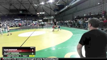 49 lbs Champ. Round 2 - Elias Baddour, Team Scorpion Wrestling Club vs Elliott Wooding, Orcas Island Wrestling Club
