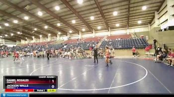 113 lbs Champ Round 1 (16 Team) - Daniel Rosales, Idaho 1 vs Jackson Walls, Oregon 2