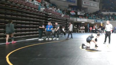 170 lbs Quarterfinal - Daniella Taylor, Cane Bay vs Makayla Vasser, Union County