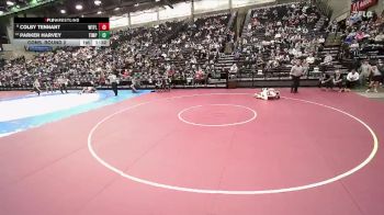 4A 132 lbs Cons. Round 2 - Colby Tennant, West Field vs Parker Harvey, Timpanogos