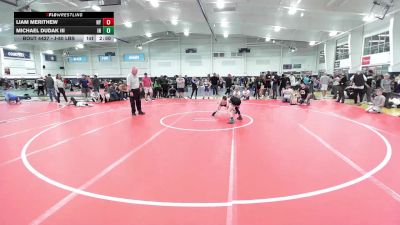 J-80 lbs 7th Place - Liam Merithew, NY vs Michael Dudak III, IN