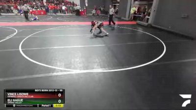 95 lbs Champ. Round 1 - Eli Hague, Spring Valley vs Vince Lisowe, Kimberly Wrestling Club