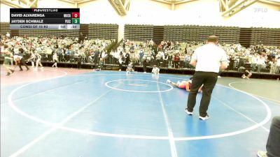 165-I lbs Consi Of 16 #2 - David Alvarenga, MacArthur vs Jayden Schmalz, Piscataway