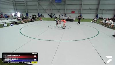 120 lbs Round 2 (8 Team) - Alex Oedekoven, South Dakota Blue vs Gabriel Burns, Georgia RED