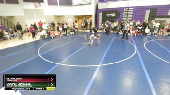 50 lbs 1st Place Match - Eli Falslev, Top Of Utah vs Cooper Loveless, Payson Lion Wrestling Club