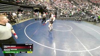 132 lbs Cons. Round 3 - Keagan Weaver, Timpanogos vs Trevor Angus, Uintah