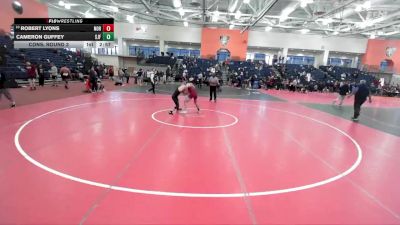 125 lbs Cons. Round 3 - Cameron Guffey, St. John Fisher vs Robert Lyons, Norwich