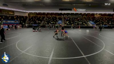 155 lbs Quarterfinal - Lauren Luzum, Decorah vs Kaylee Kintzel, Mount Vernon