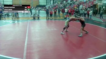 149 lbs Quarterfinal - Ethan Pappan, NEO vs Cole Gros, Central Methodist