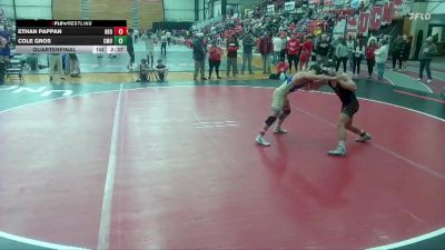 149 lbs Quarterfinal - Ethan Pappan, NEO vs Cole Gros, Central Methodist