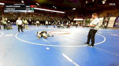 132 Class 4 lbs Champ. Round 1 - Dalton Lilledahl, Francis Howell vs Luke Nally, Lee`s Summit