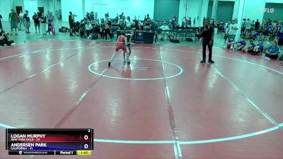 71 lbs Placement Matches (8 Team) - Logan Murphy, New York Gold vs Andersen Park, California