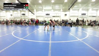 220 lbs Quarterfinal - Aaron Ruiz-Angel, NC vs Charlie Wendt, OH