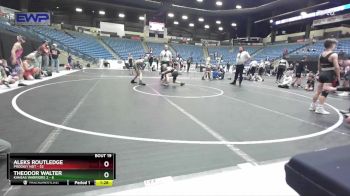 88 lbs Round 5 (10 Team) - Aleks Routledge, Prodigy NDT vs Theodor Walter, Kansas Warriors 2